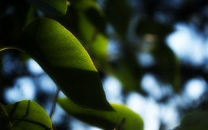 从性能优化小白到高手，只差这一篇